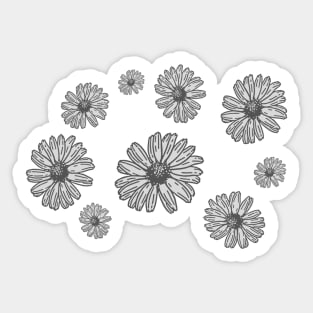 Pastel Daisy Flower Pattern - Floral Sticker